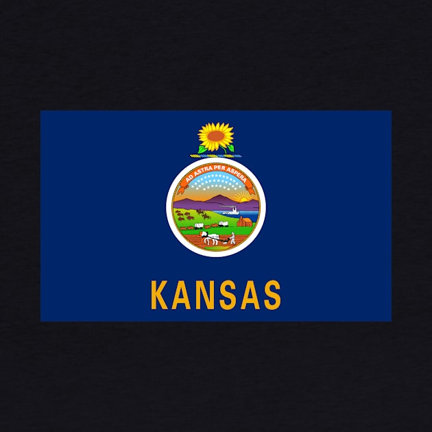 Flag of Kansas by pdpress